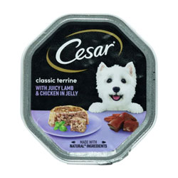 CESAR DOG TRAY LAMB & CHICKEN