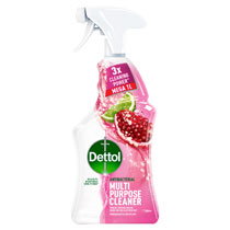 DETTOL POWER & FRESH SPRAY POMEGRANATE