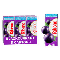 RIBENA BLACKCURRANT LIGHT 6PK