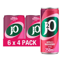 J20 APPLE & RASPBERRY CAN 6x4PK